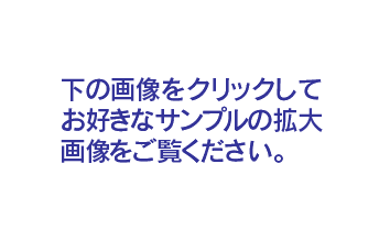 サンプルの拡大画像